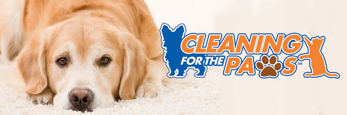 Wooster, Ohio Pet Urine Removal Treatment by Finn's Chem-Dry