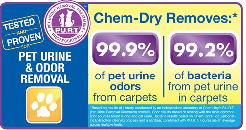 Pet Urine Removal Treatment removes 99.9% of pet urine odors and 99.2% of pet urine bacteria