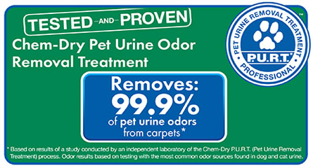 Finn's Chem-Dry removes pet urine odor near Wooster, Ohio
