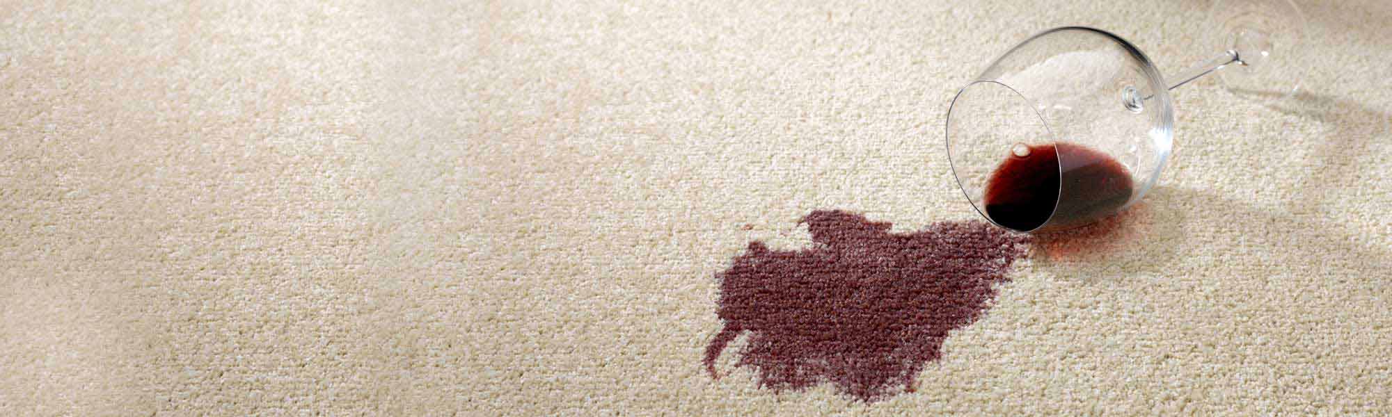 Professional Stain Removal Service by Finn's Chem-Dry